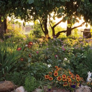 Jazz-In-The-Gardens-Highlige-Magazine-www.highlifemagazine.com