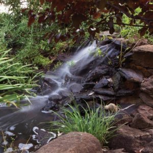 Jazz-In-The-Gardens-Highlige-Magazine-www.highlifemagazine.com